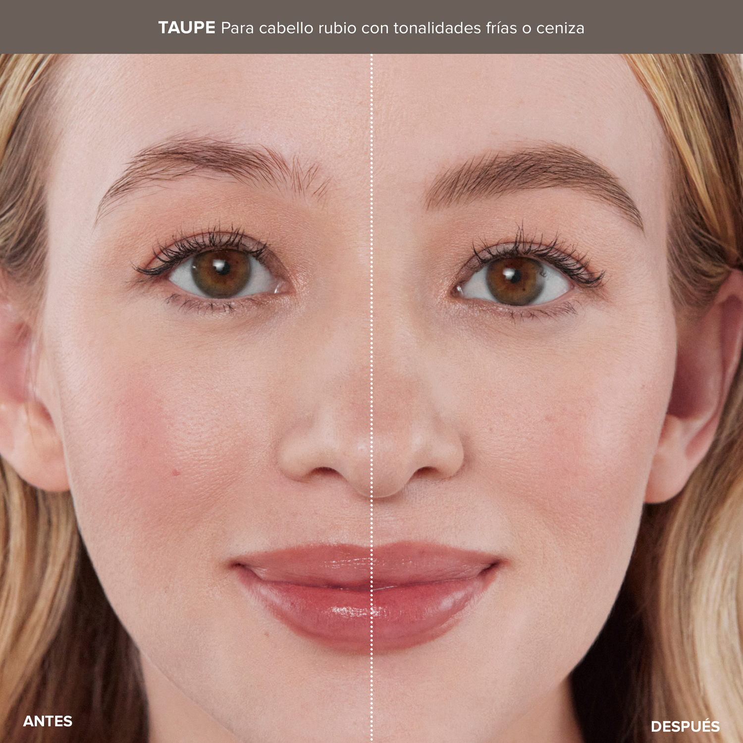 LIFTED & DEFINED BROW DUO (DUO DE MAQUILLAJE PARA CEJAS)